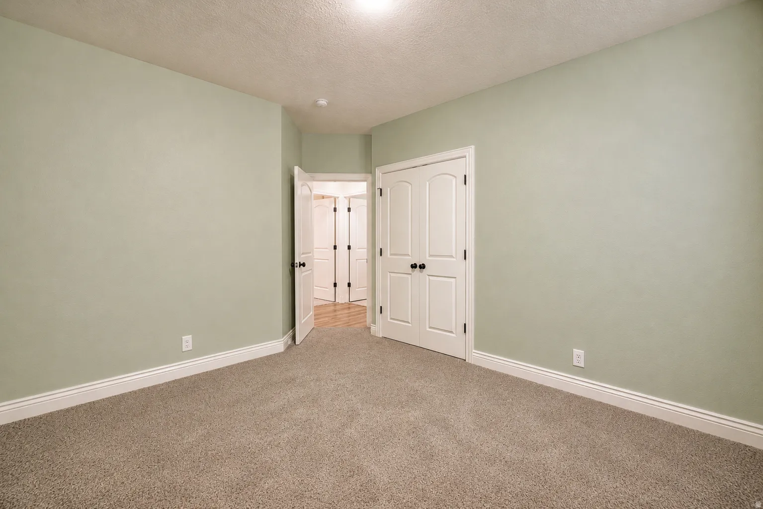 Spacious room featuring neutral carpeting, light green walls, white baseboards, and two white paneled doors with black hardware
