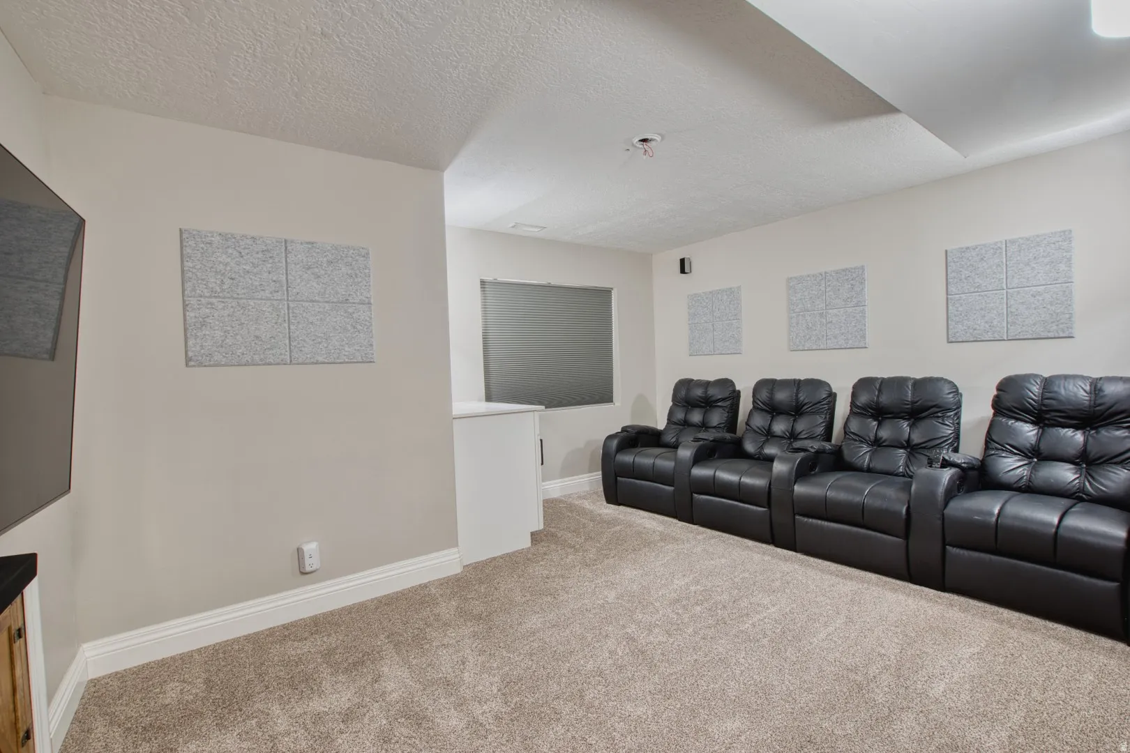Carpeted entertainment room featuring sound-dampening wall panels, baseboard molding, and built-in speakers