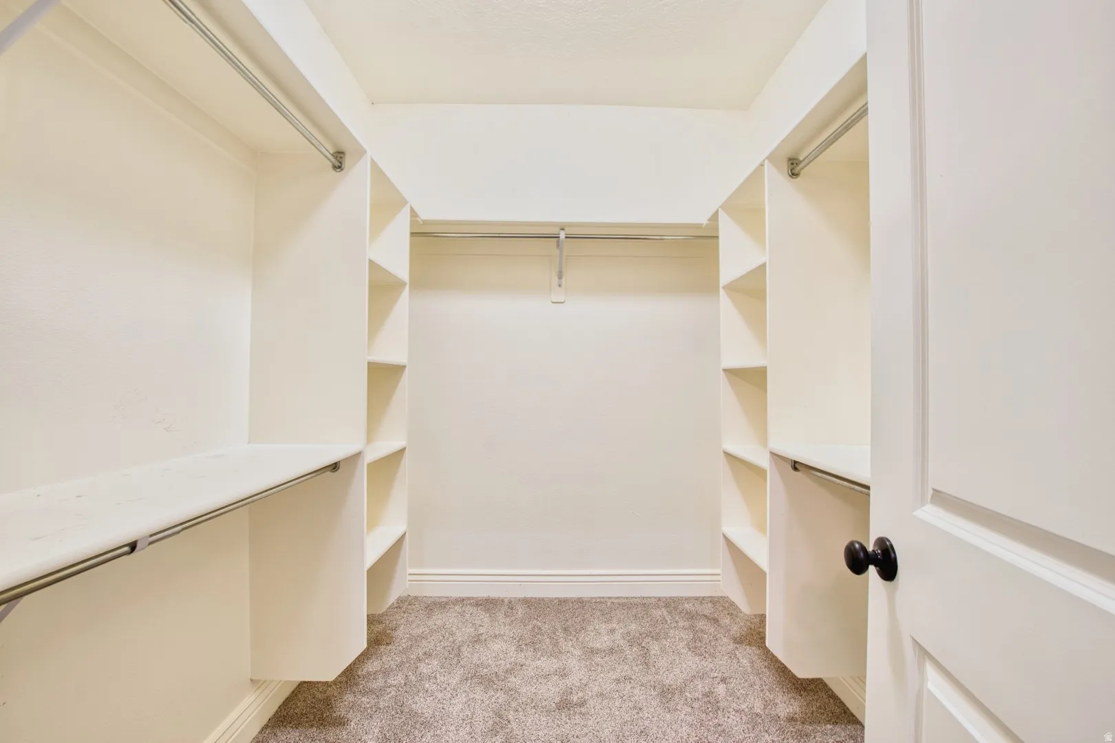 Walk-in closet featuring built-in shelving, hanging rods, neutral carpeting, and white trim