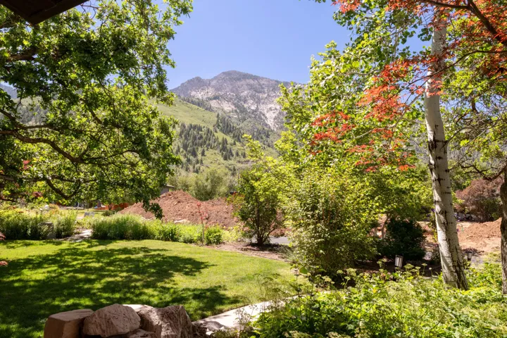 Expansive backyard featuring a manicured lawn, established trees, and mature landscaping