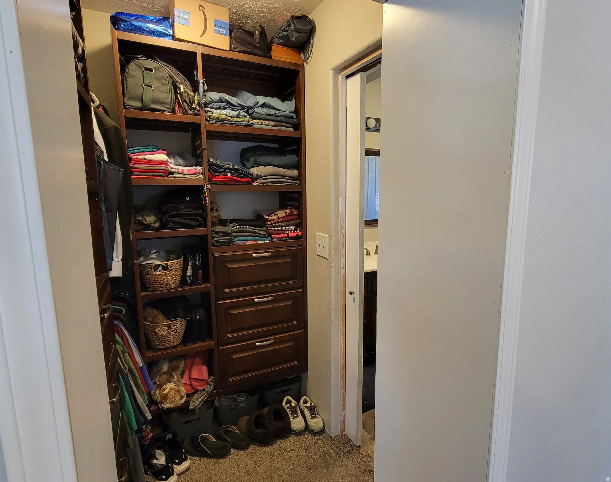 Walk-in closet featuring built-in wood-finish shelving, integrated drawers, and carpet flooring