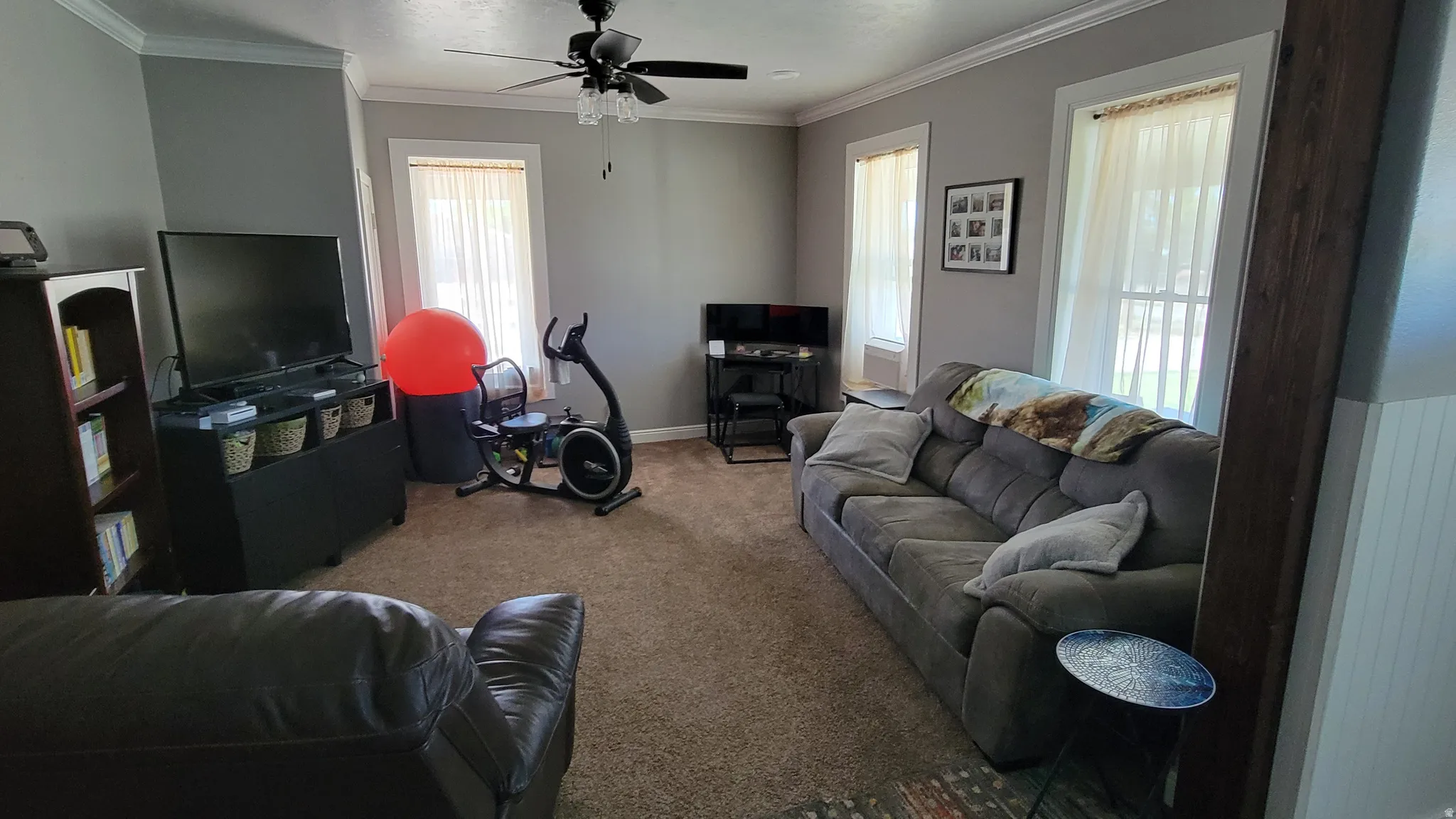 Living area featuring a textured carpet floor, grey wall paint, and white trim molding