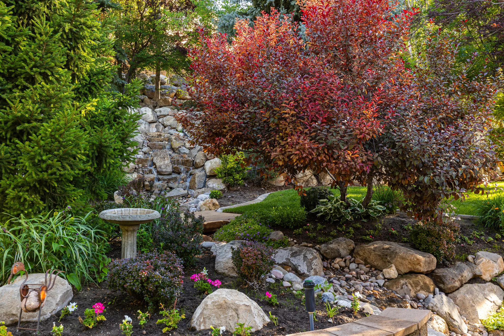 Cascading rock water feature with surrounding mature evergreen trees and vibrant red foliage