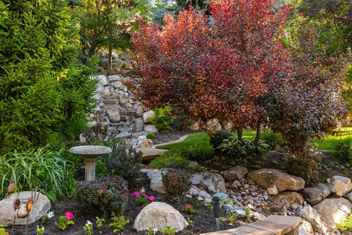 Cascading rock water feature with surrounding mature evergreen trees and vibrant red foliage