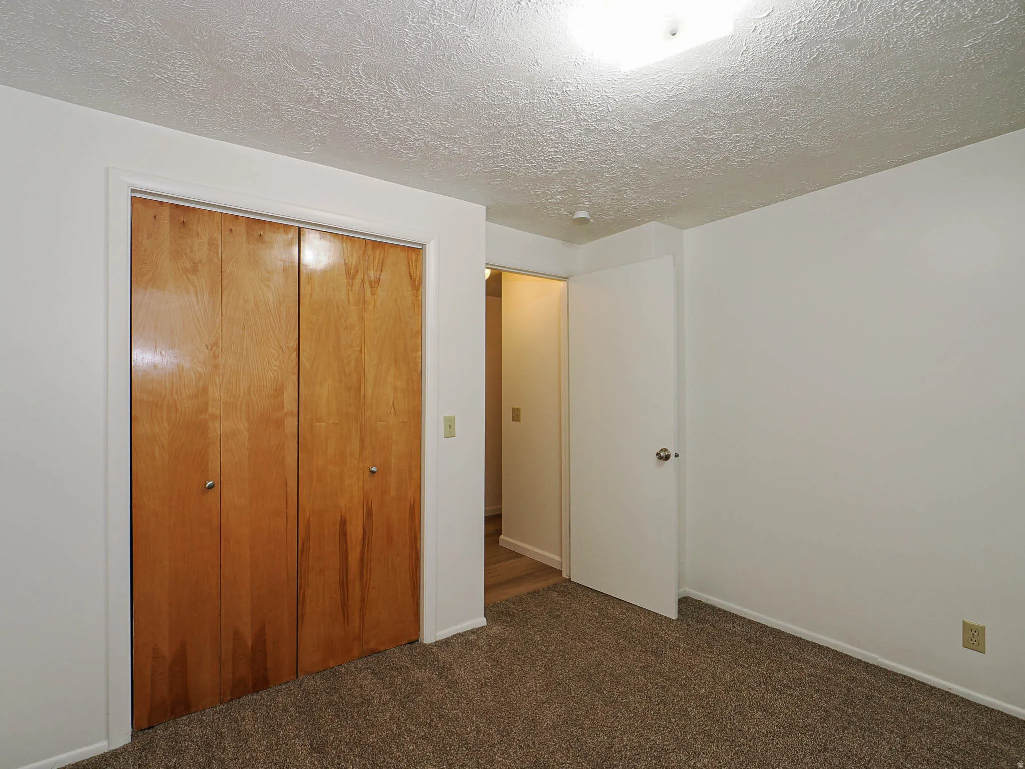 Wall-to-wall carpeting with a neutral tone, light-colored walls, and a ceiling light fixture