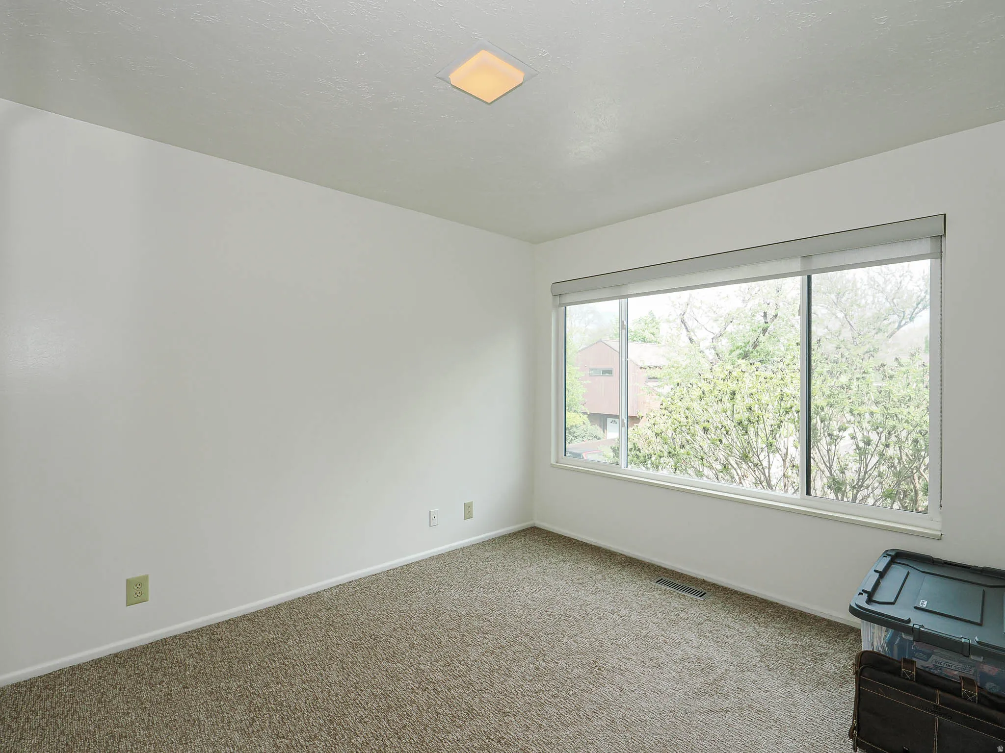 Light-colored wall finishes complementing the neutral carpeting