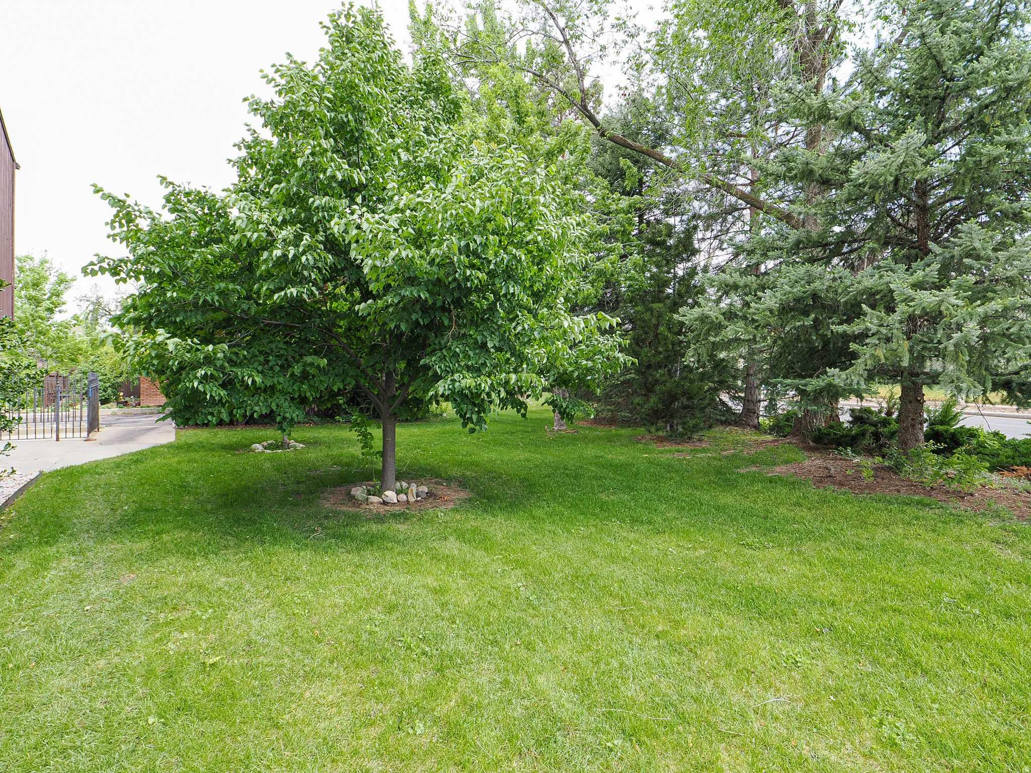 Manicured lawn with mature trees providing extensive green space