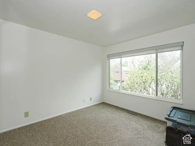 Light-colored wall finishes complementing the neutral carpeting