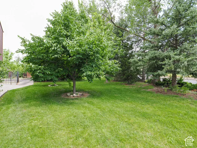 Manicured lawn with mature trees providing extensive green space