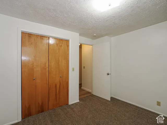 Wall-to-wall carpeting with a neutral tone, light-colored walls, and a ceiling light fixture