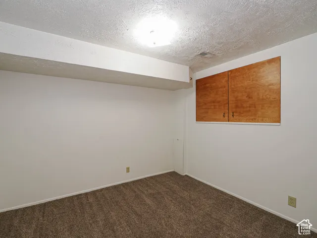 Neutral wall finish with built-in overhead cabinetry, complemented by a textured ceiling, flush-mount lighting, and carpeted flooring