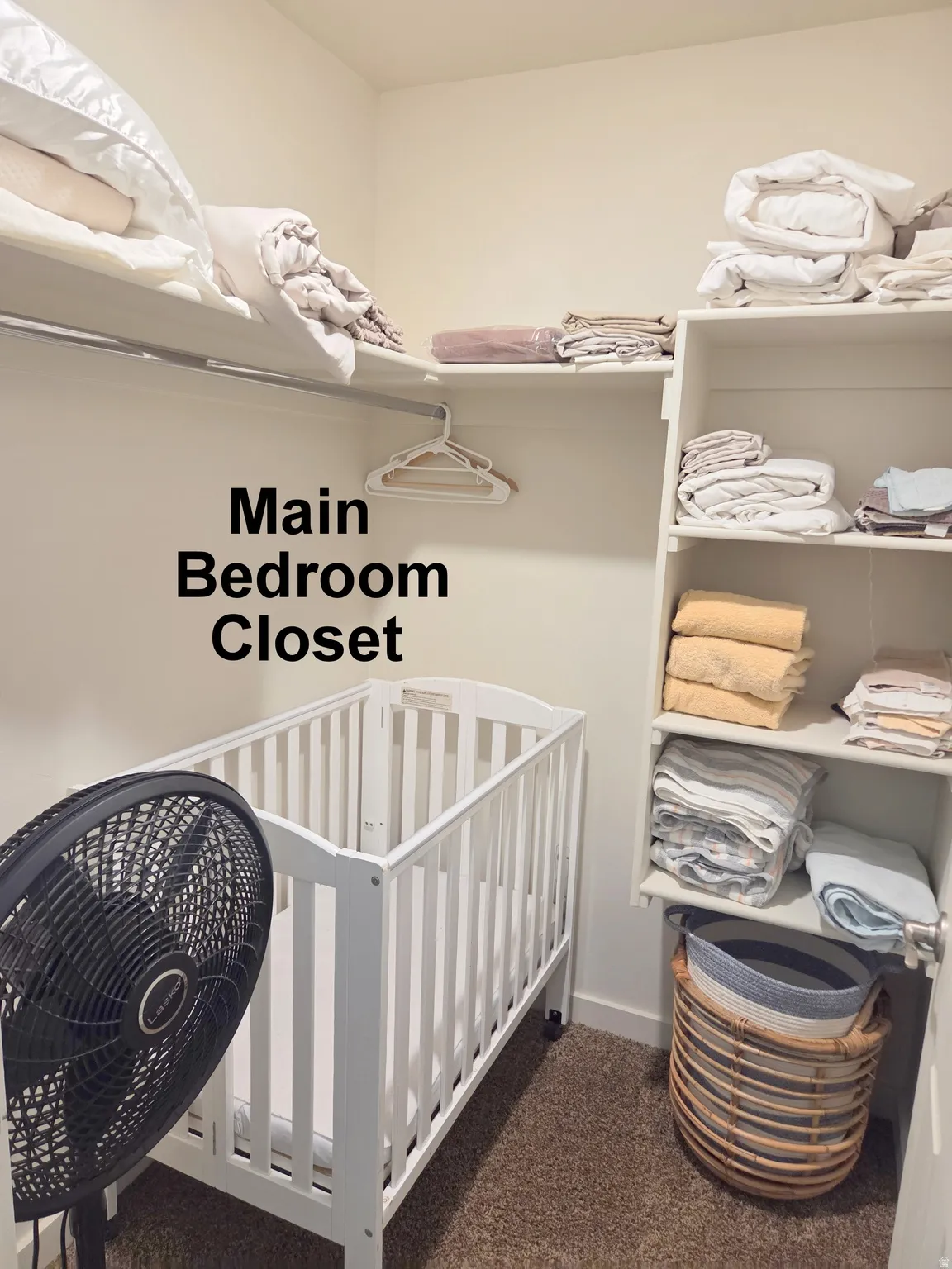Built-in shelving and hanging rods offer ample storage solutions within this closet space, featuring carpet flooring and light-toned walls