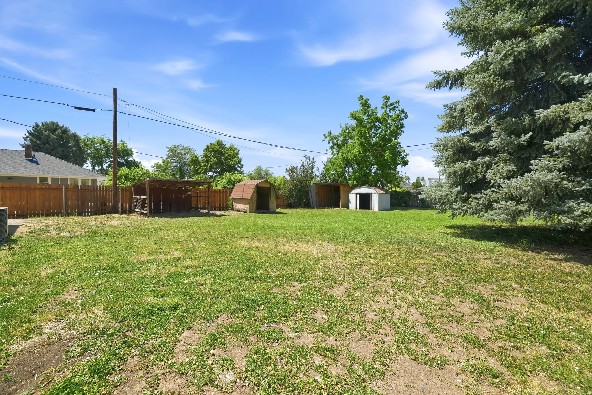 Spacious backyard with a grass area, two storage sheds, a covered outdoor structure, and a mature evergreen tree