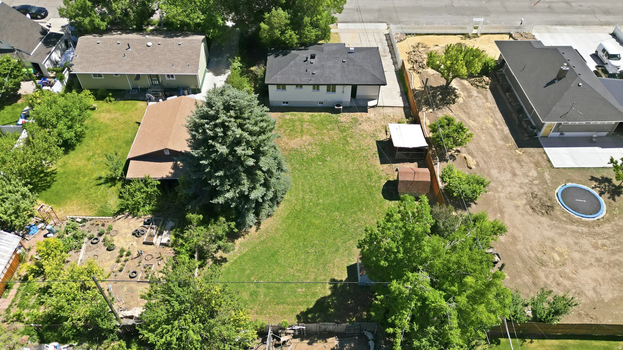 Expansive property featuring a sizable grassy yard, mature evergreen tree, and a built-in trampoline