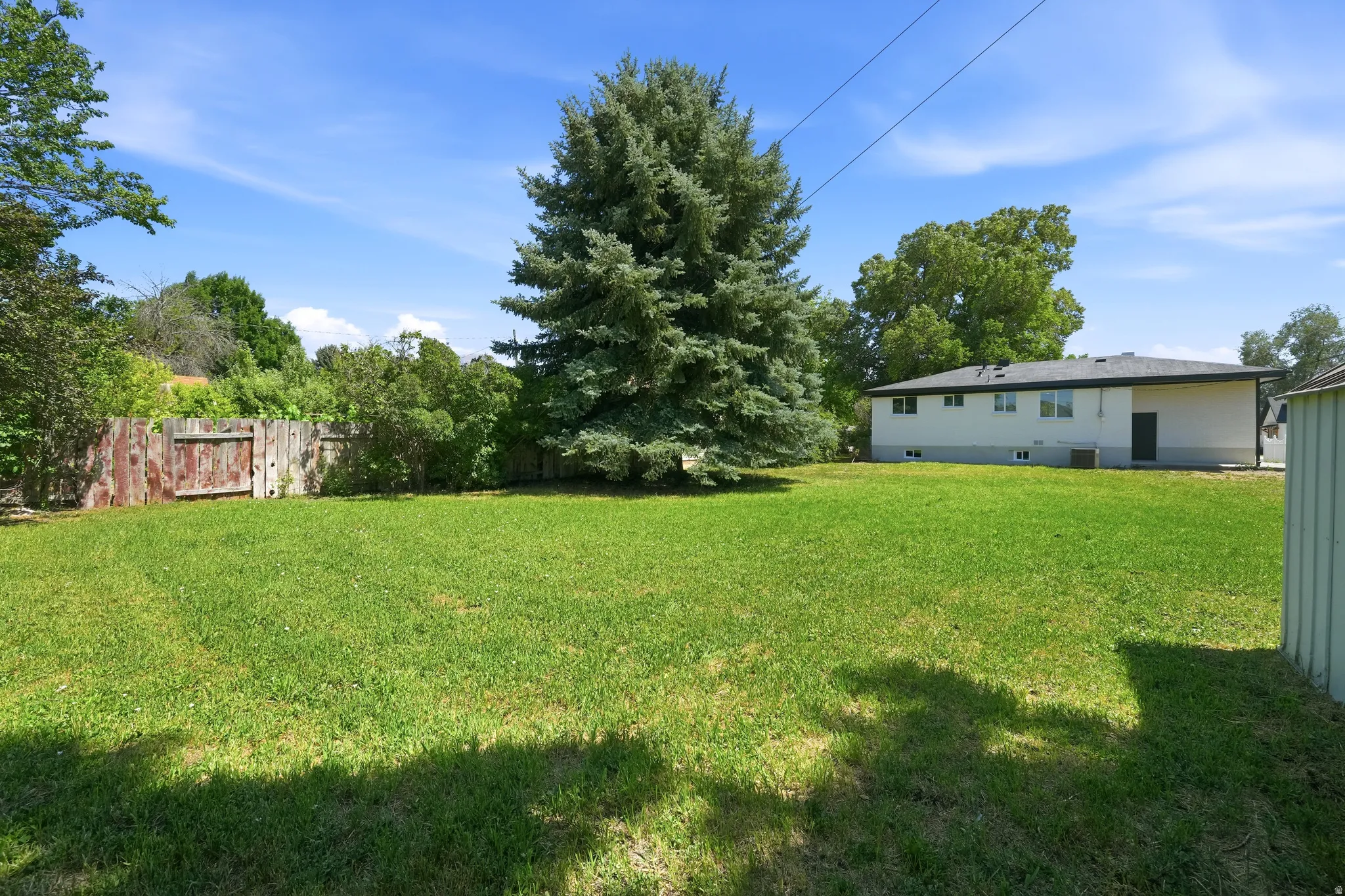 Expansive green lawn with mature trees and a wooden fence