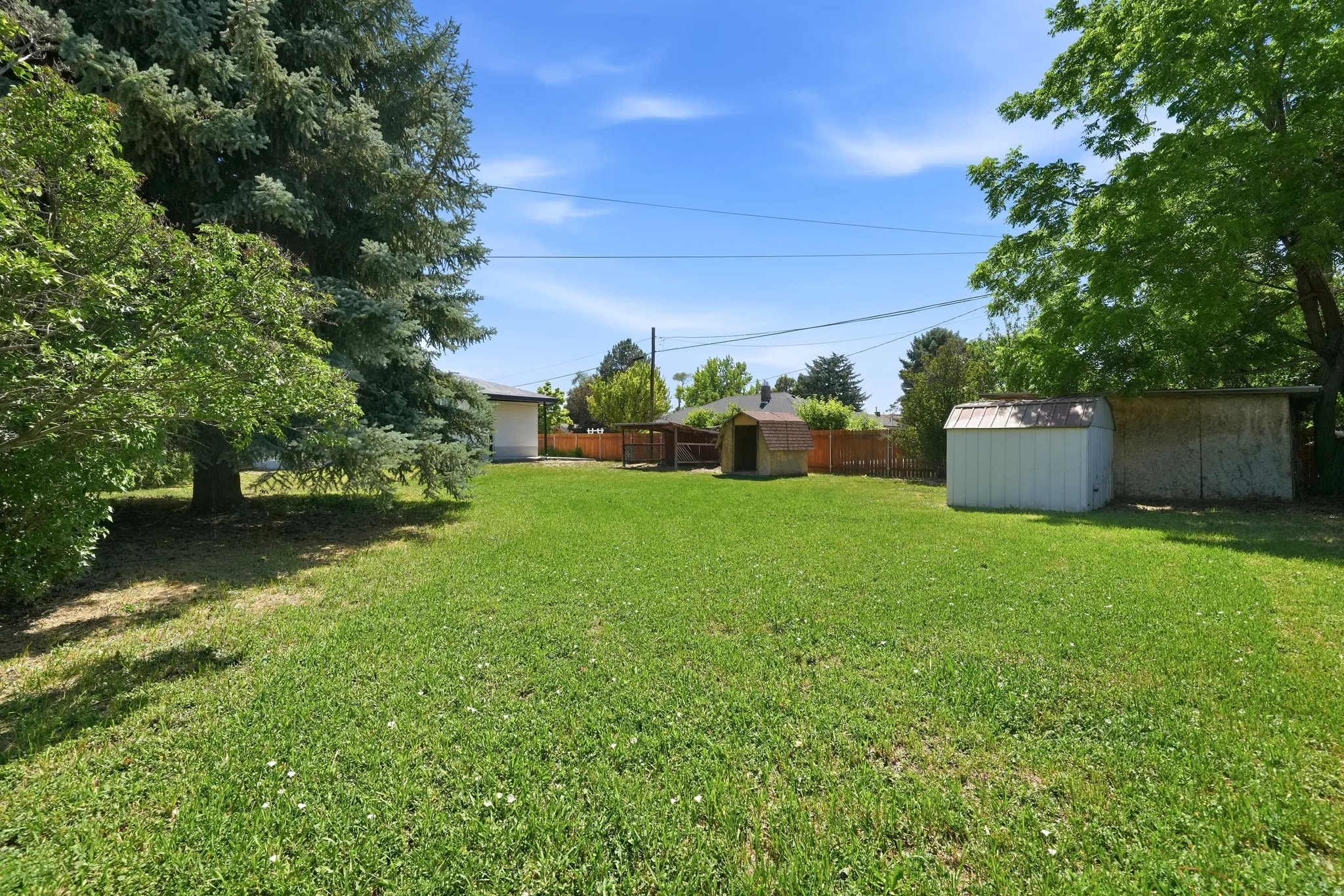 Expansive backyard featuring a lush lawn, mature trees providing shade, and two storage sheds