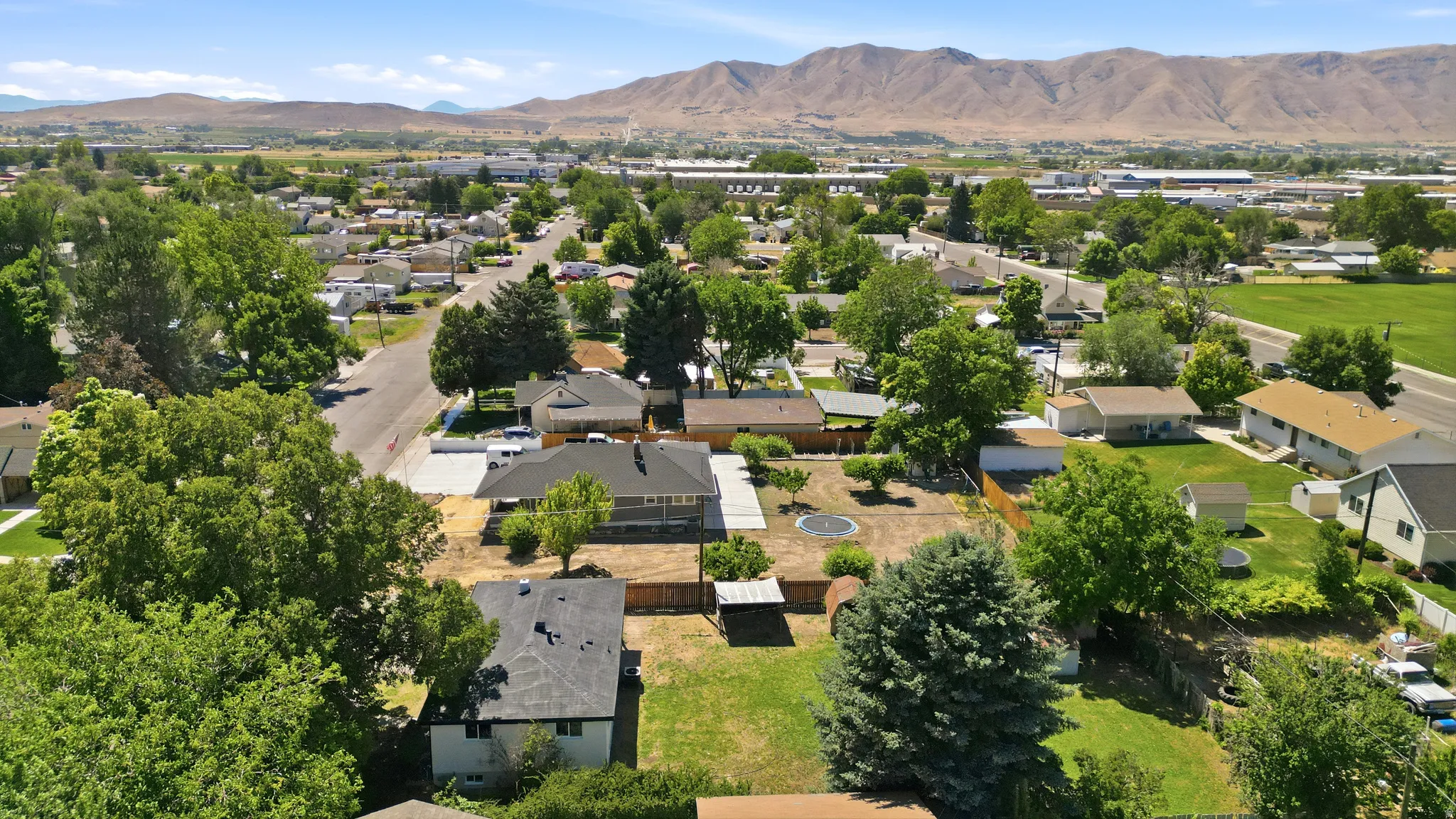 Aerial perspective showcasing a residential area with varied rooflines and extensive tree canopy