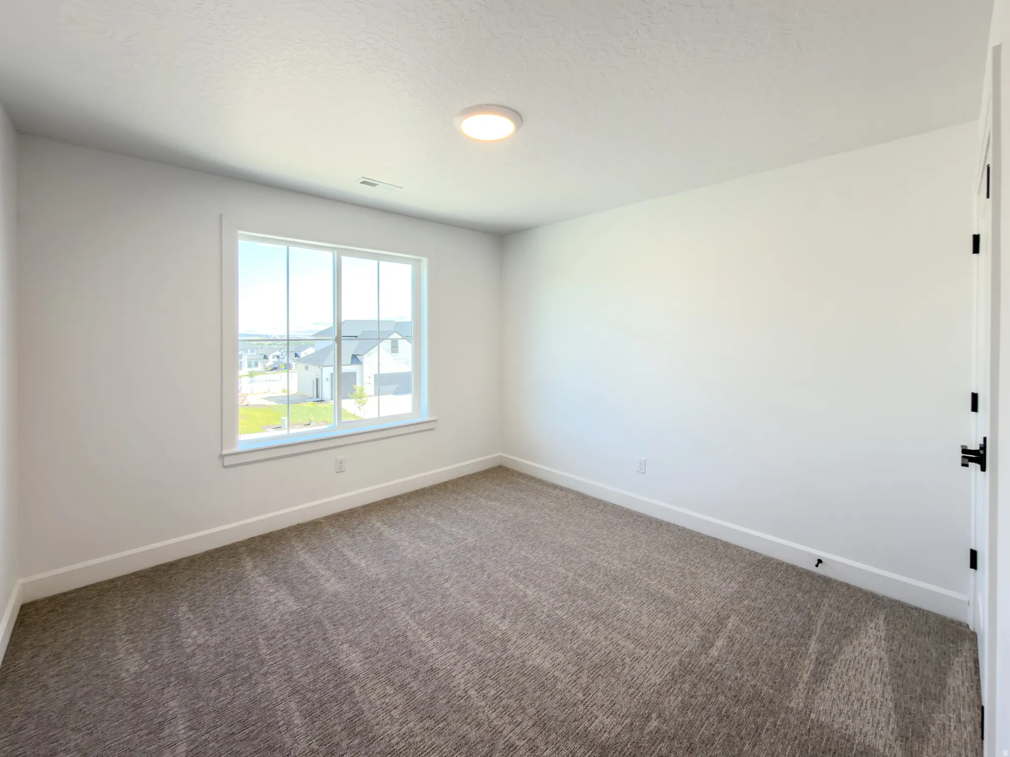 Bright interior room featuring neutral-toned carpet, a multi-pane window with white trim, white walls, and a flush-mount ceiling light fixture
