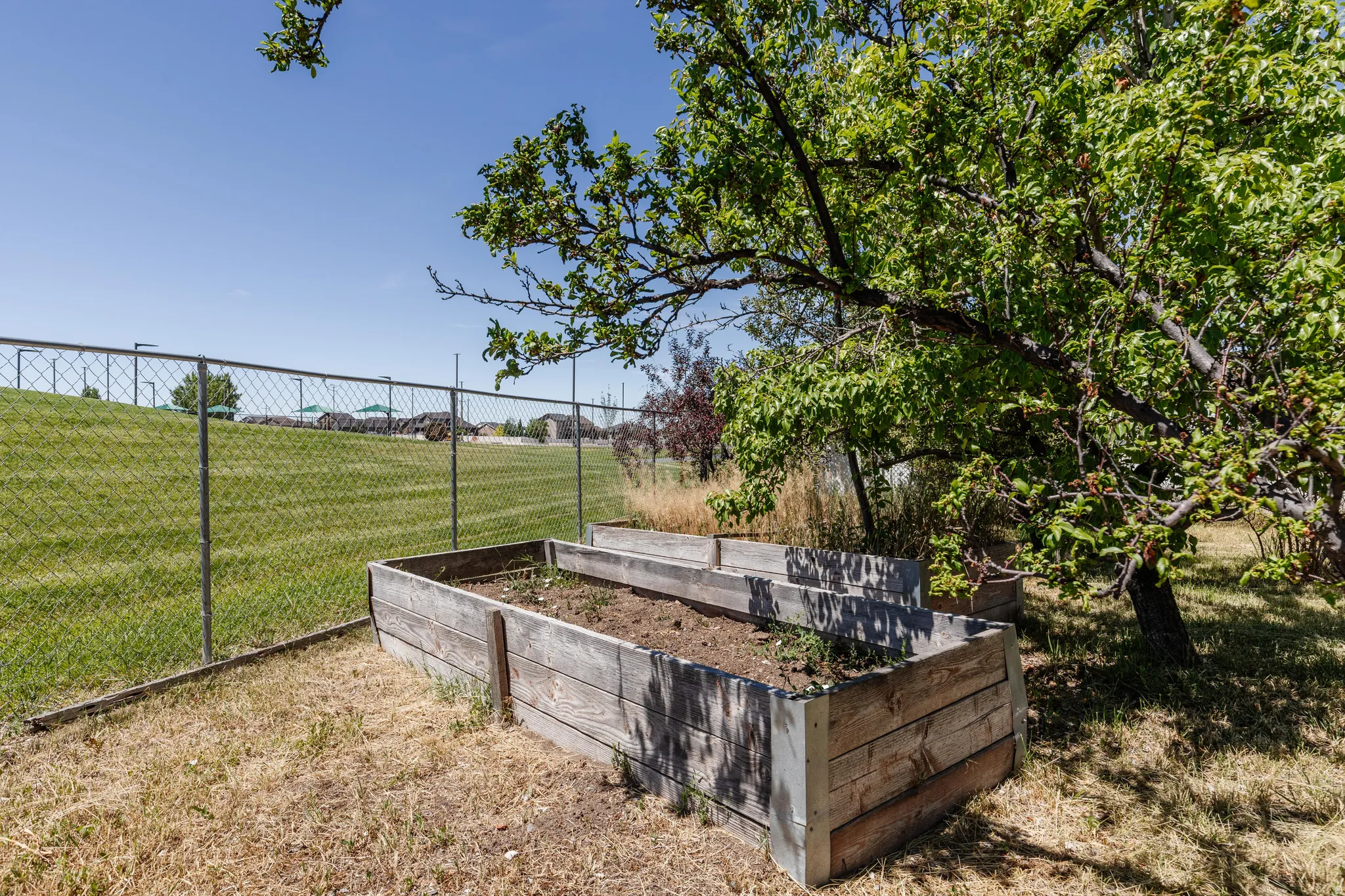 Outdoor garden area featuring two raised wooden planters