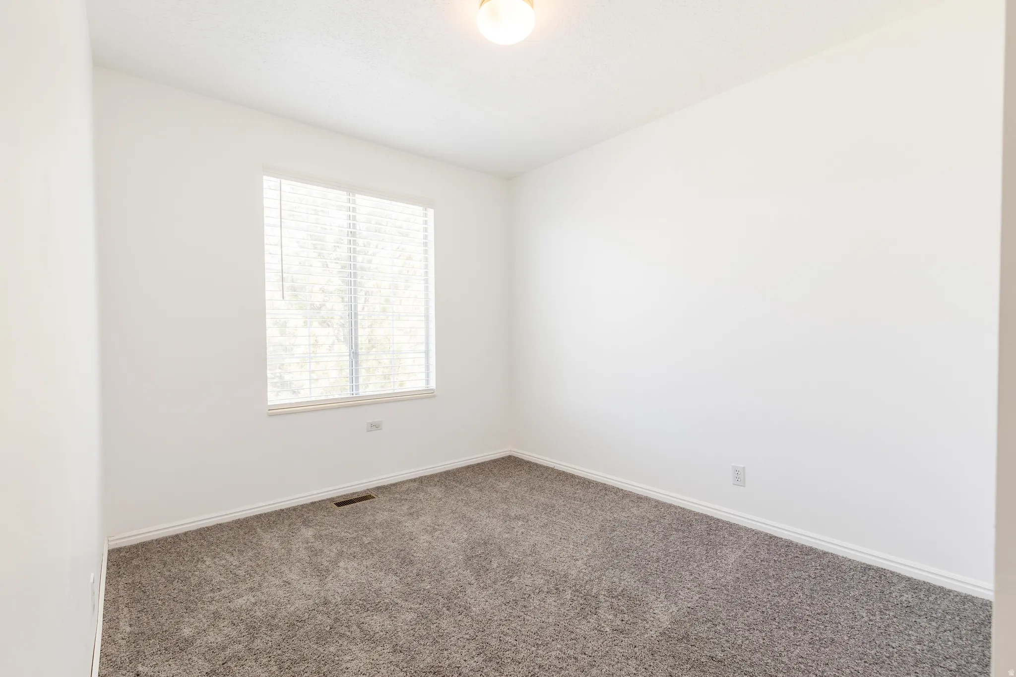 Bright room featuring plush gray carpeting, white walls, and a large window with horizontal blinds
