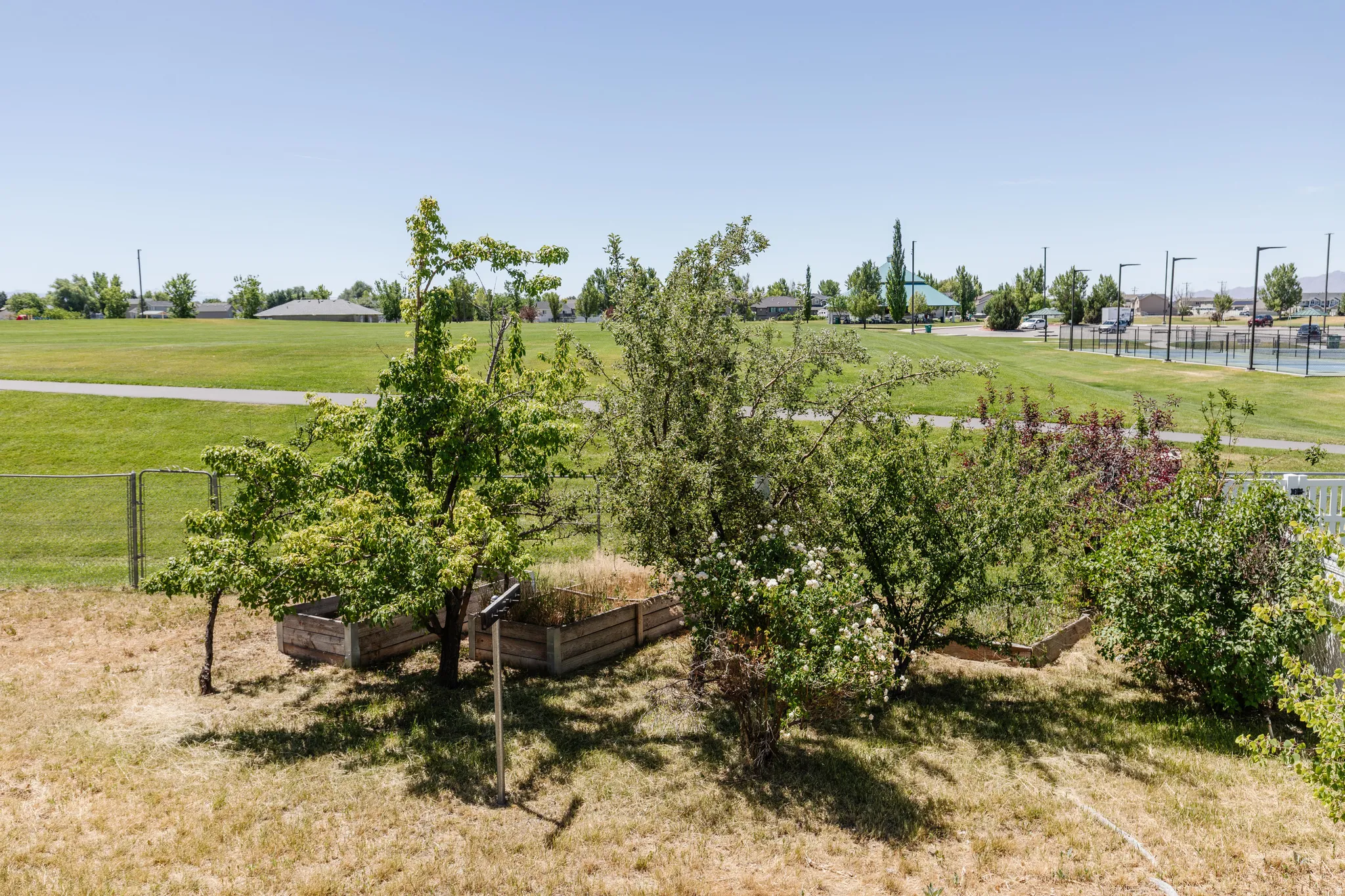 Expansive backyard featuring mature trees, raised garden beds, and a chain-link fence