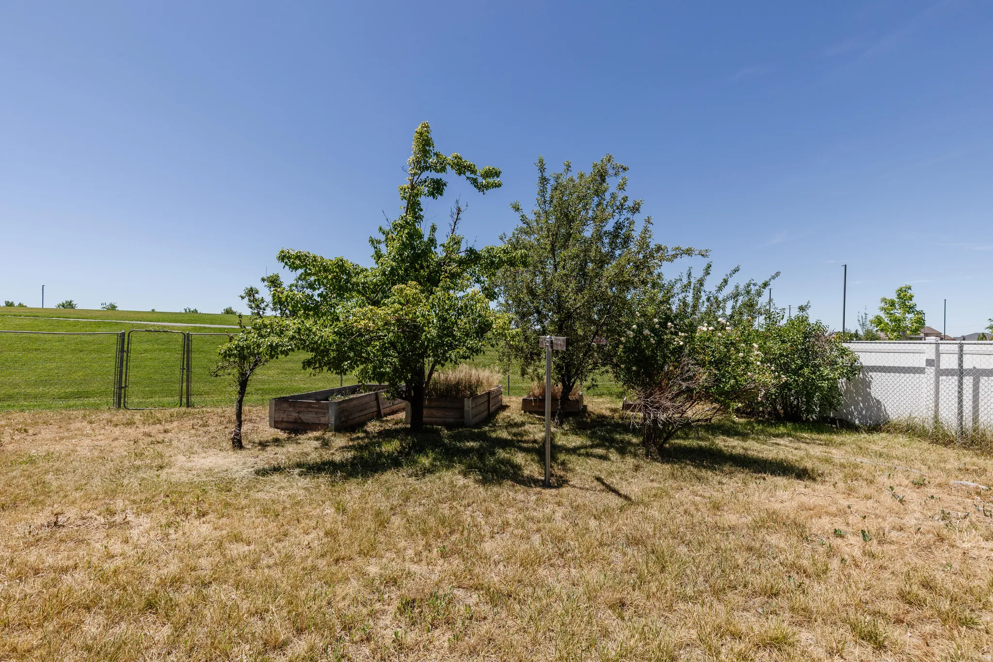Mature trees and plantings, including two raised garden beds, define a section of the yard