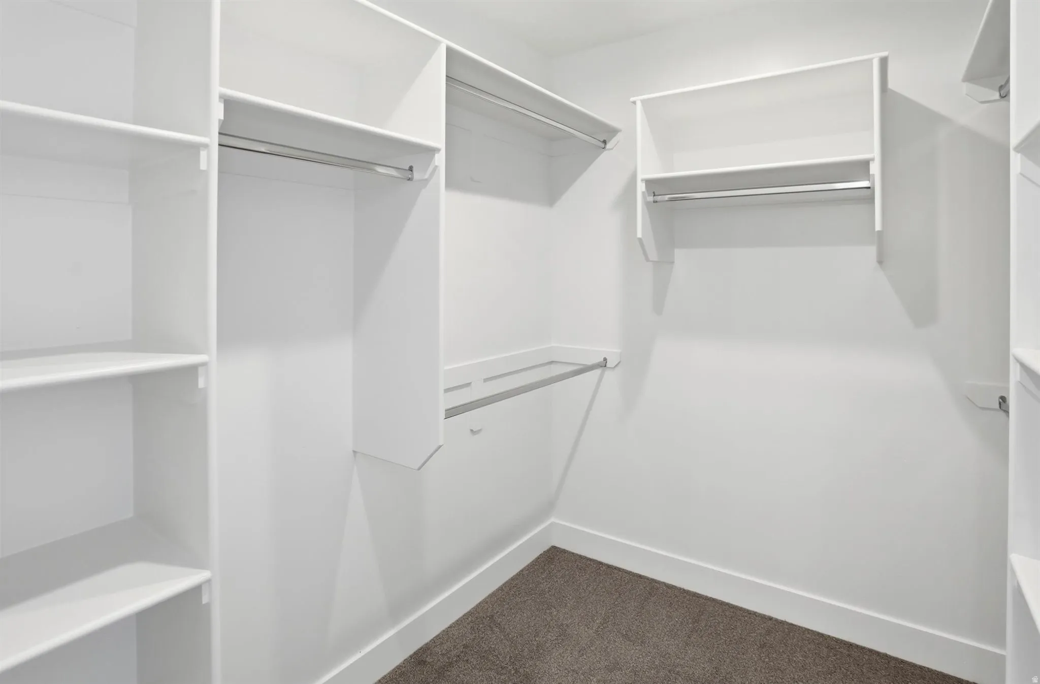 Walk-in closet featuring white built-in shelving, multiple hanging rods, and carpet flooring