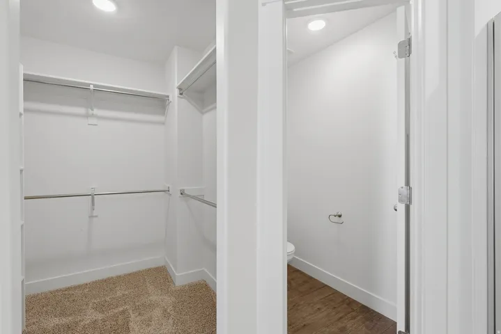 Walk-in closet with carpet flooring and chrome hanging rods