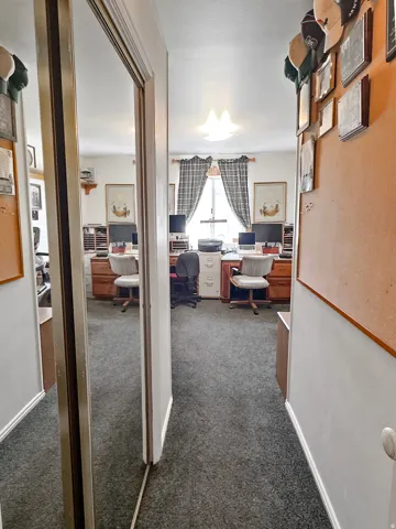 Dedicated office space featuring two built-in desk areas with wood cabinetry, a central window with patterned drapes, a flush-mount ceiling light fixture, and dark gray carpet flooring