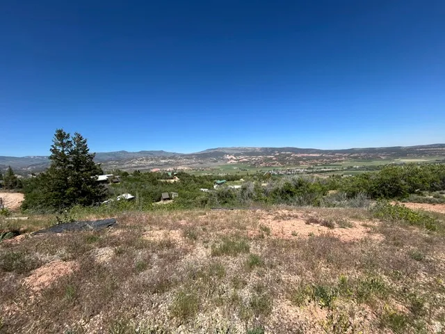 Expansive land parcel featuring natural ground cover, mature trees, and distant mountain ranges