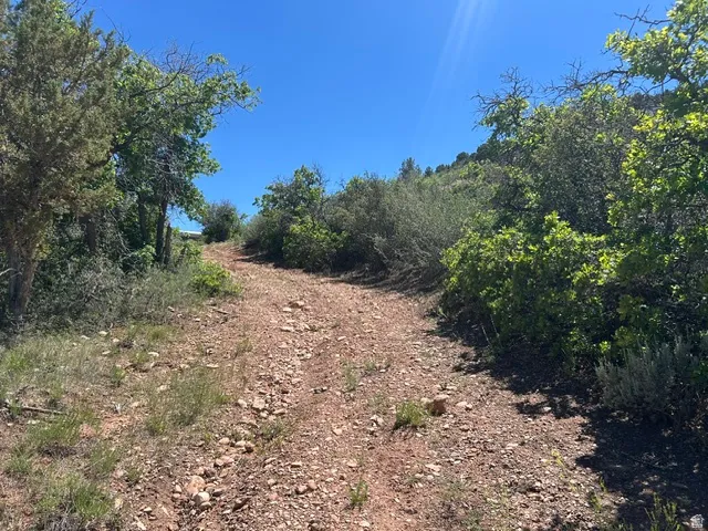 Unpaved natural terrain path ascending a hillside with varied natural vegetation and a clear blue sky overhead