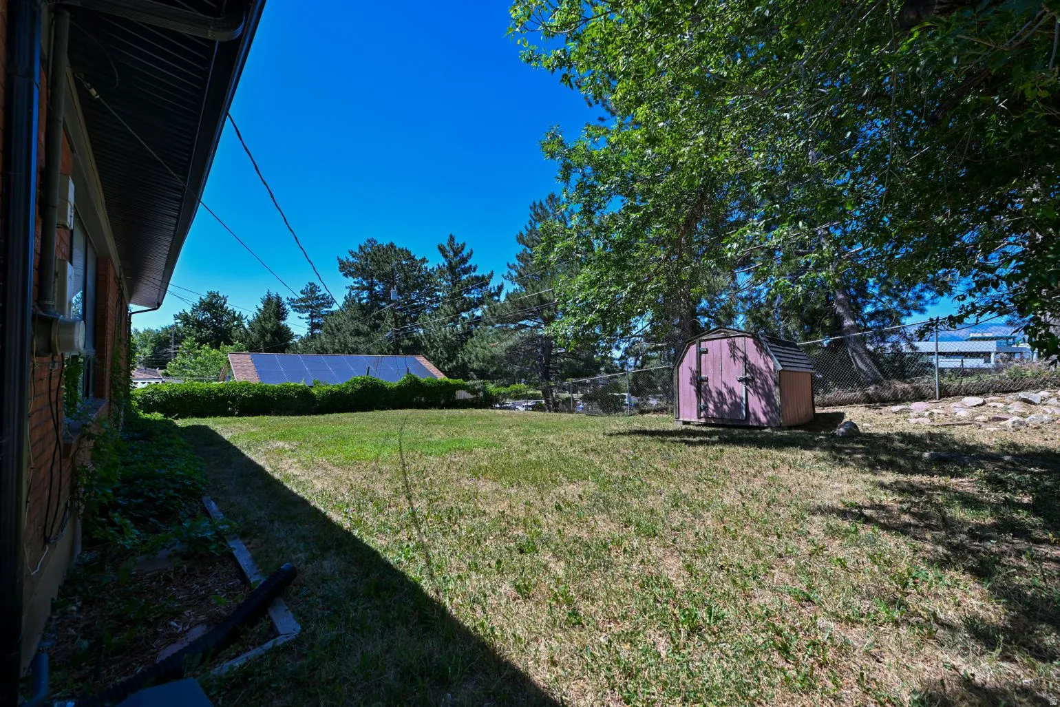 Expansive green space featuring a storage shed, established trees, and mature landscaping