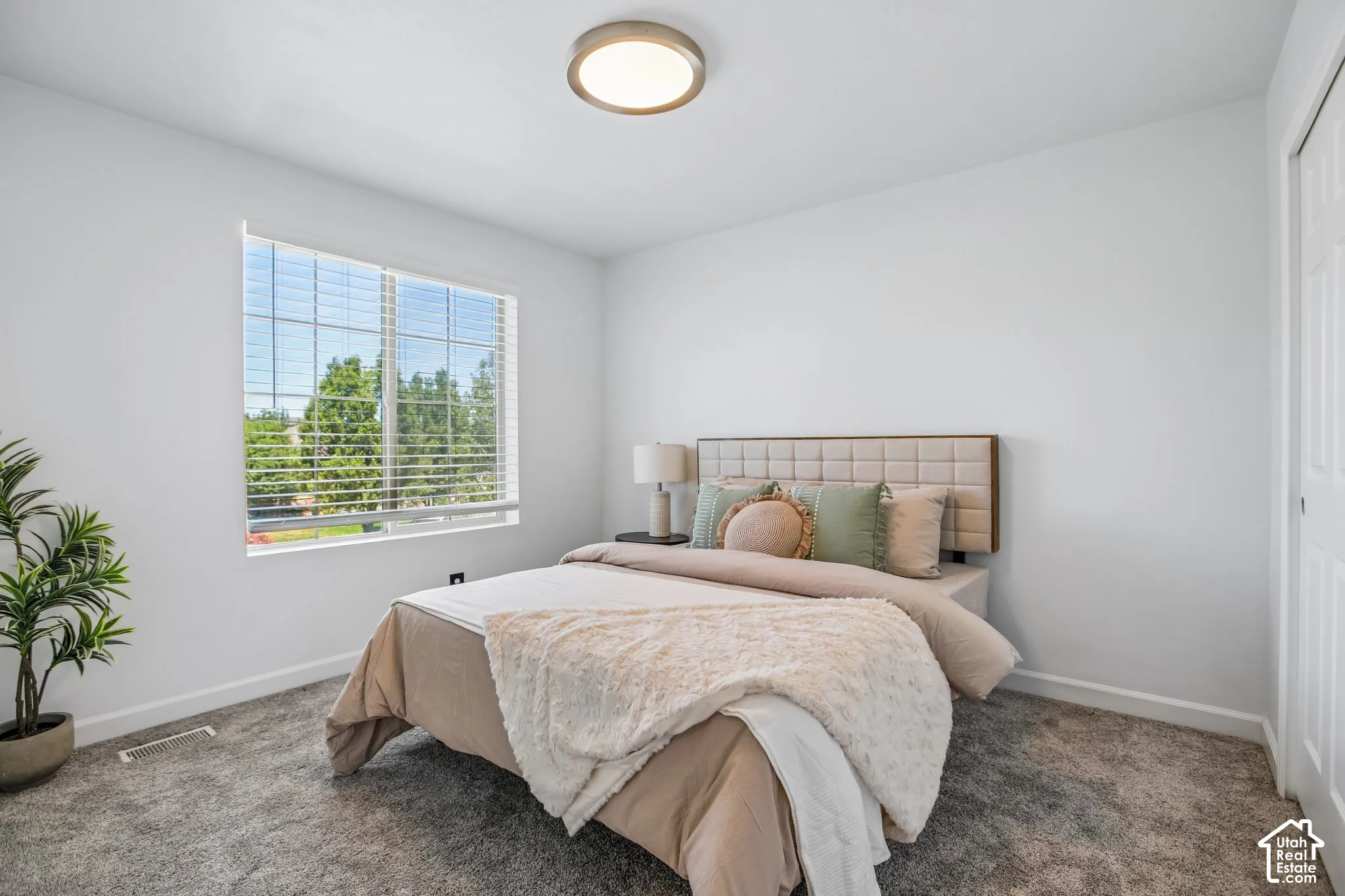 Bright room featuring a large window with blinds, plush gray carpet, white walls, and a ceiling-mounted light fixture