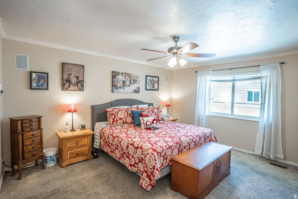 Bedroom featuring a window with white blinds and curtains, ceiling fan with light fixture, carpeted flooring, and crown molding