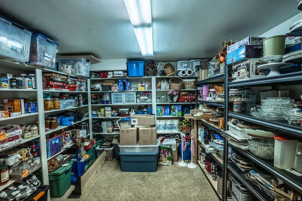 Organized storage room featuring extensive built-in shelving, durable carpeting, and overhead fluorescent lighting