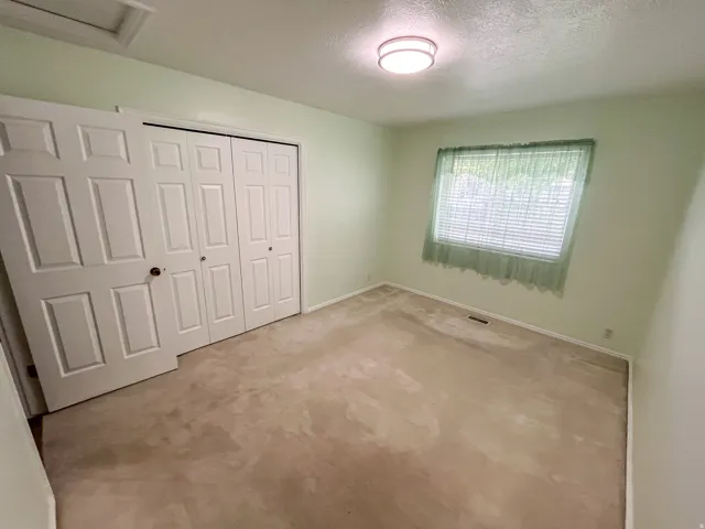 Interior room featuring neutral carpeting, light green walls, a window with blinds, and white bi-fold closet doors