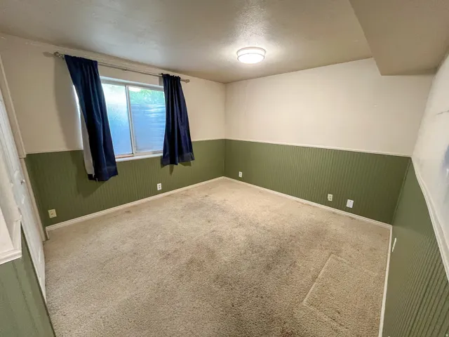Carpeted interior room featuring green beadboard wainscoting and a flush-mount ceiling light fixture