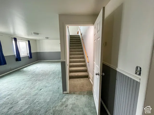 Carpeted staircase with wooden handrail opening to a spacious room featuring a light-colored carpet, multiple windows, and two-tone wall treatment with lower paneling