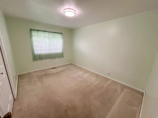 Room featuring light green wall paint and carpeted flooring