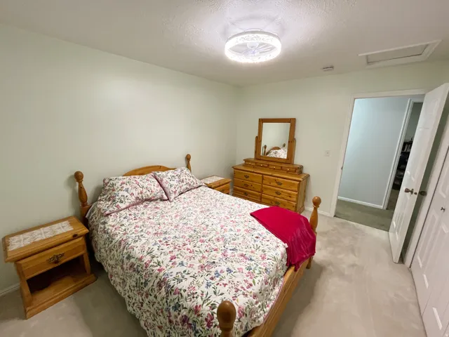 Carpeted bedroom featuring light-toned walls and a ceiling-mounted light fixture