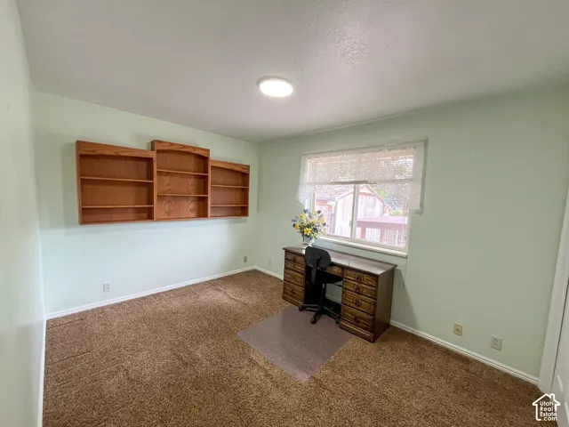 Room featuring light green walls, brown carpeting, and a window with white lace curtains