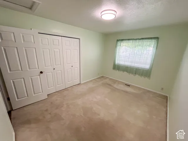Interior room featuring neutral carpeting, light green walls, a window with blinds, and white bi-fold closet doors
