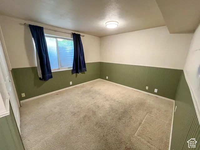 Carpeted interior room featuring green beadboard wainscoting and a flush-mount ceiling light fixture