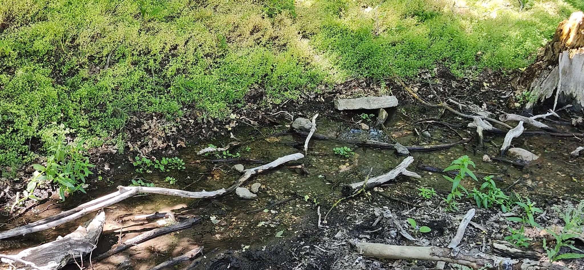 Natural Spring.