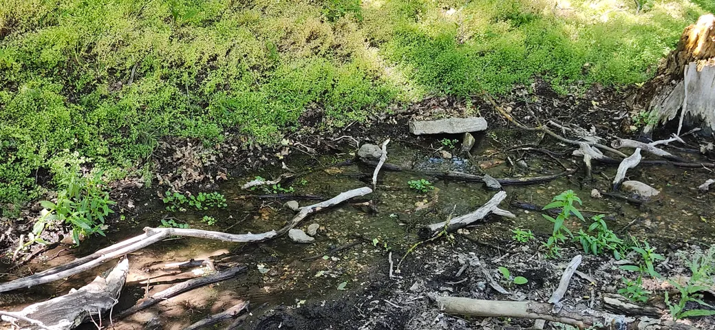 Natural Spring.