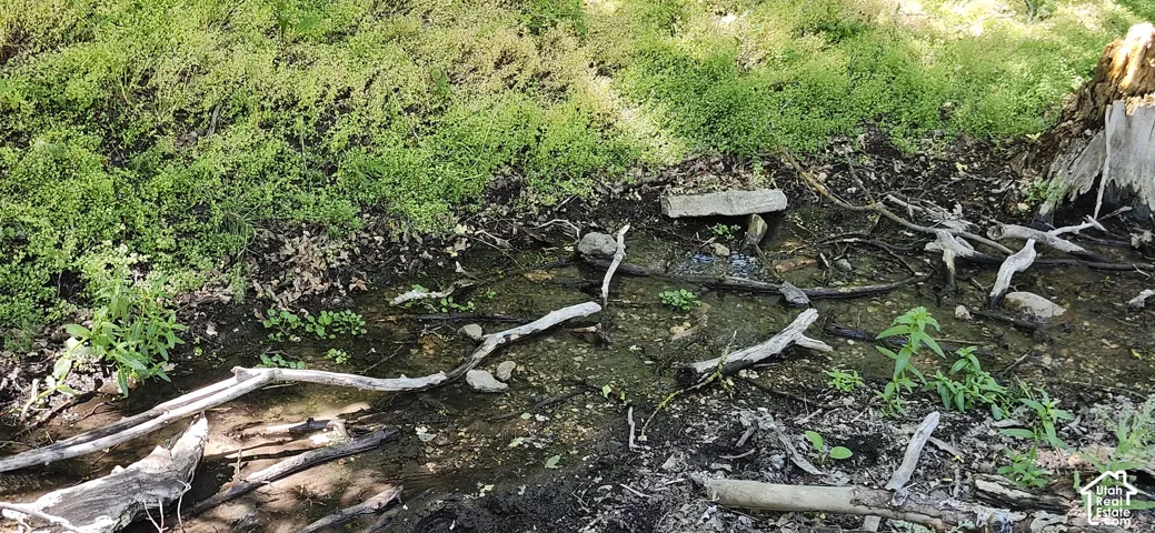Natural Spring.