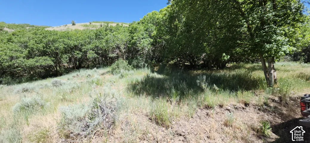 Sloping terrain featuring mature trees, natural vegetation, and distant hills under a clear sky