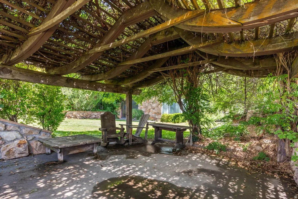 Expansive outdoor pergola structure with natural wood beams and mature vine coverage