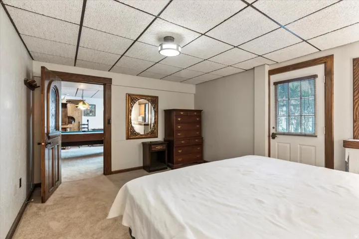 Carpeted room featuring a white door with blinds, an overhead light fixture, and a wood-paneled drop ceiling