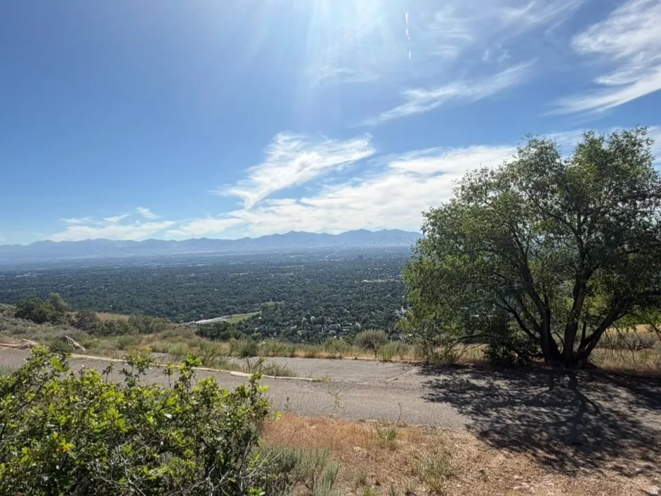 Expansive mountain and city scenery with a mature shade tree and natural foliage